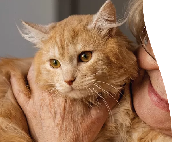 دعم الحياة