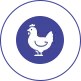دواجن